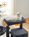 plmebli
