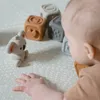 plmebli