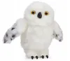 plmebli