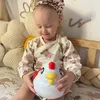 plmebli