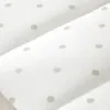 plmebli