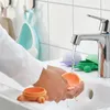 plmebli