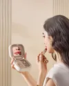 plmebli