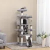 plmebli