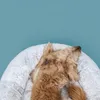 plmebli