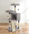 plmebli