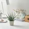 plmebli