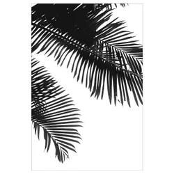 IKEA BILD(404.422.56) Плакат, Линейные пальмовые листья