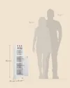 plmebli