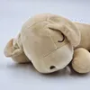 plmebli