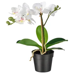 IKEA FEJKA (002.859.08) искусственное комнатное растение, Белая орхидея