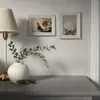 plmebli