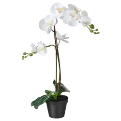 IKEA FEJKA (802.859.09) искусственное комнатное растение, Белая орхидея