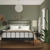 plmebli