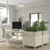 plmebli