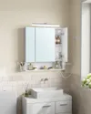 plmebli