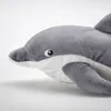 plmebli