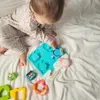 plmebli