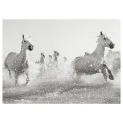 IKEA PJÄTTERYD(805.194.42) изображение, скачущие лошади