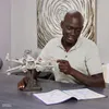 plmebli