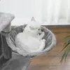 plmebli