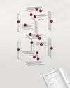 plmebli