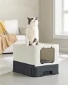 plmebli