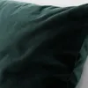 plmebli