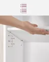 plmebli