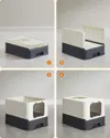 plmebli