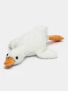 plmebli