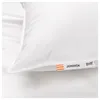 plmebli