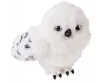 plmebli