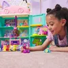 plmebli