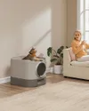 plmebli