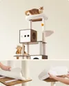 plmebli