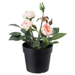 IKEA FEJKA (003.953.13) искусственное комнатное растение, внутрь / наружу / розовая роза