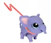 plmebli