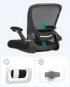 plmebli