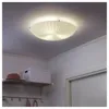 plmebli