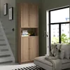 plmebli