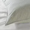 plmebli