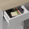 plmebli