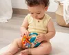 plmebli