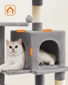 plmebli