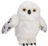plmebli