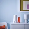 plmebli