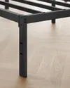 plmebli
