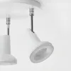 plmebli