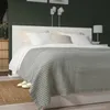 plmebli